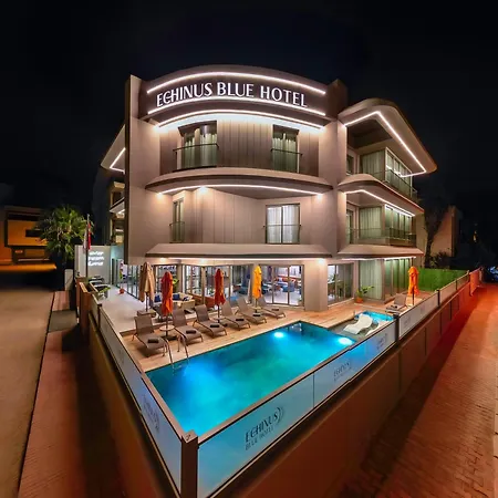 Apartment Echinus Blue